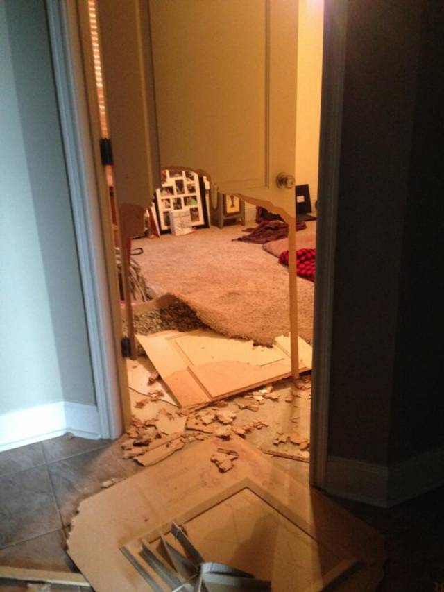 This is what happens when a full grown English Mastiff really, really doesn't want to be in a room.