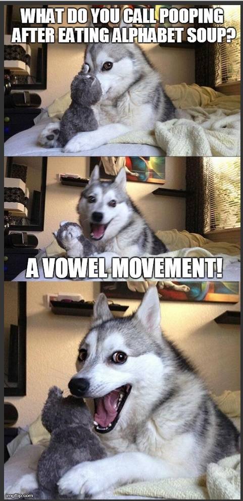 a vowel movement