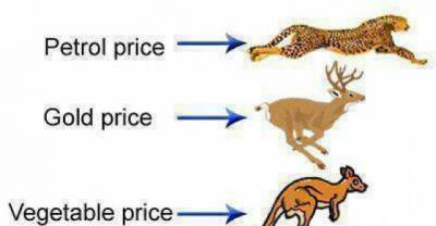 Funny memes of the day