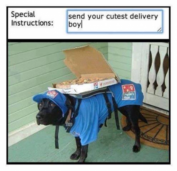 Cute delivery boy