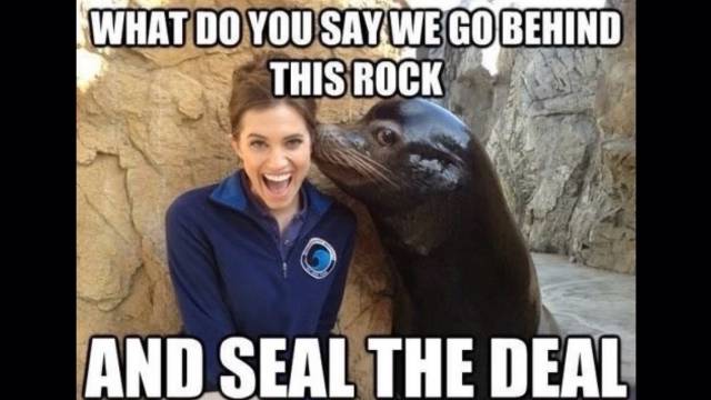 S*x Seals