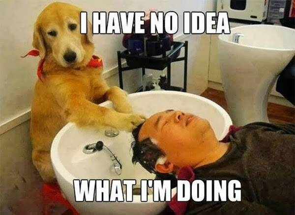As a girl who never styled their hair who just bought a curling iron