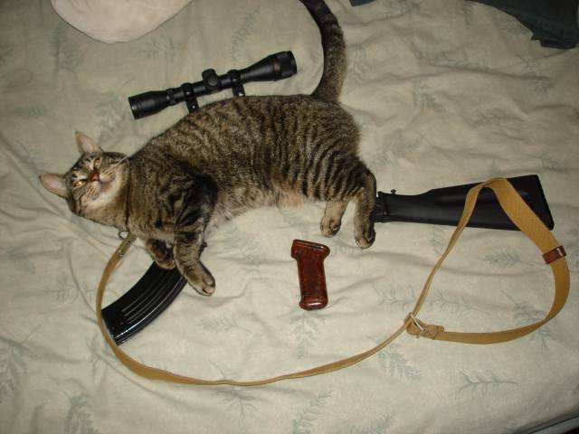 Just getting ready to build my new Karma gun.