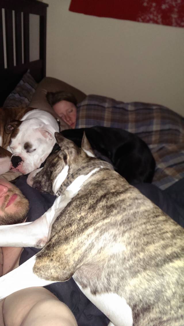 After months of denial and many nights on the couch. I finally got the evidence to prove to my wife why she sleeps better than I do.