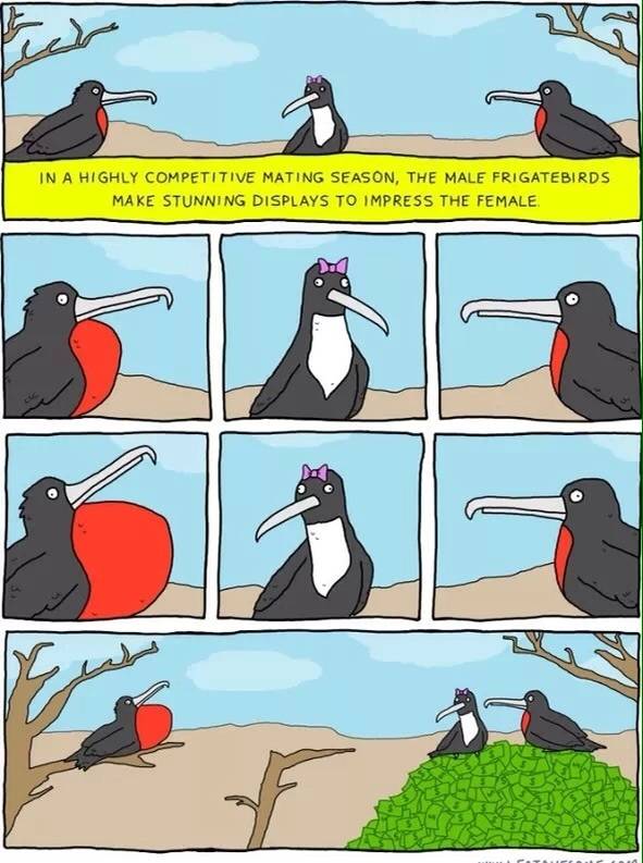 Even birds have high standards.