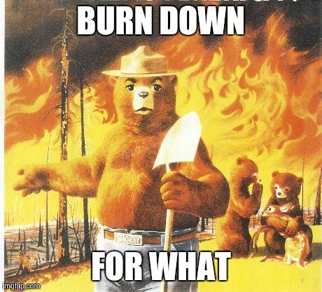 I think I just found Smokey's new slogan