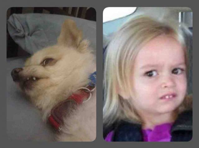 ...the resemblance is uncanny