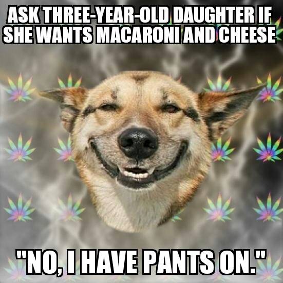 Sometimes I wonder if my daughter smoked pot in a past life...