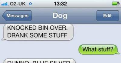 Hilarious Text Messages From Dog