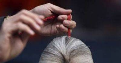Hilarious Dog Haircuts