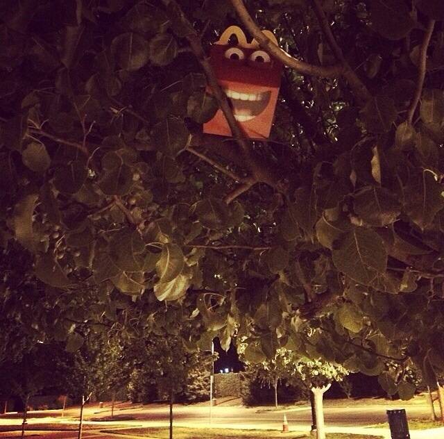 I was taking a nice walk when I saw this and screamed