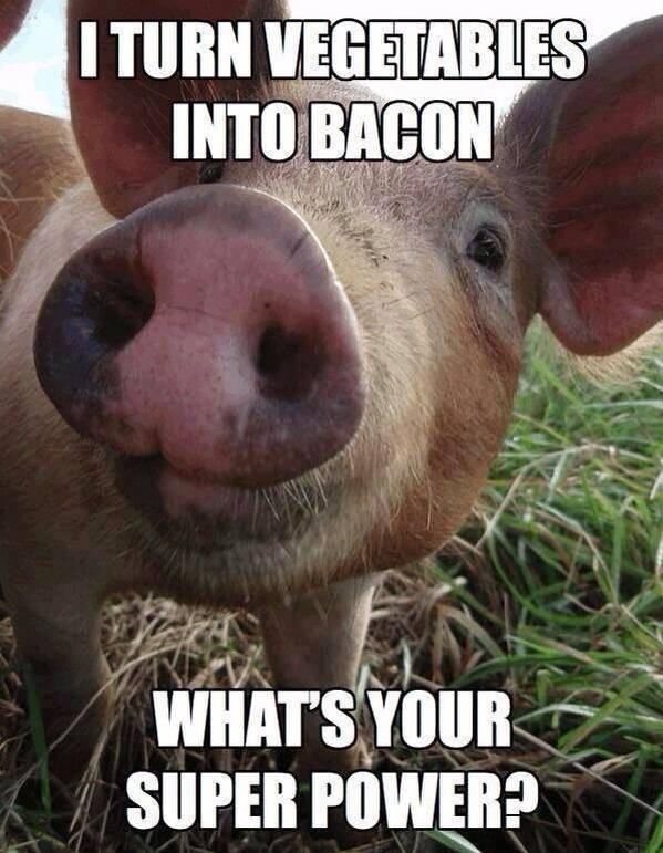 Oink oink bi*ches.