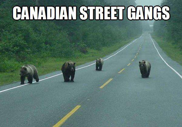 Canadian Street Gangs.