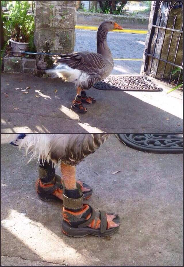 Pull up to the scene looking fresh