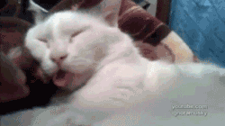 Bleeeeeeppp