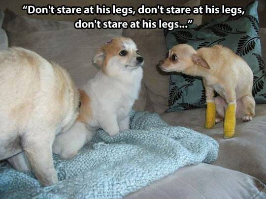 Don't stare at his legs