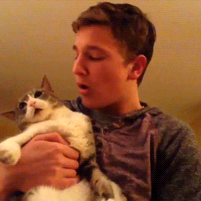 Boop