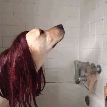 Mary Jane Dogson