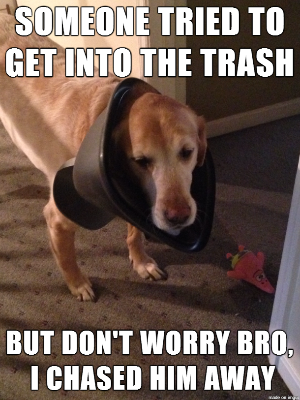 Such a good boy!