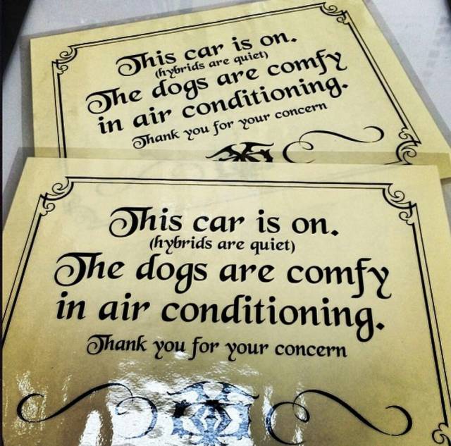 My buddy had these made after someone broke into his Prius to 