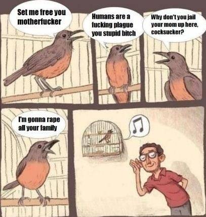 Birds make the most beautiful sounds.