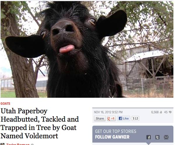 He who shall not be named