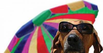 Summer's Here!