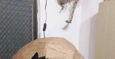 This Amazing Artist turns Simple Old Cardboard To Stunning Masterpieces