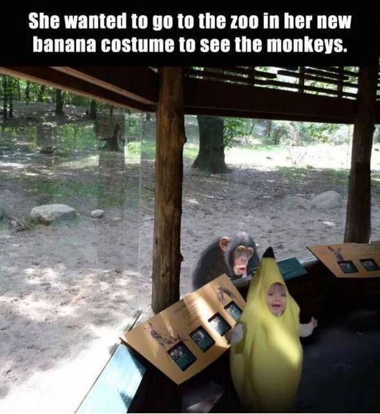 The monkey’s expression is priceless