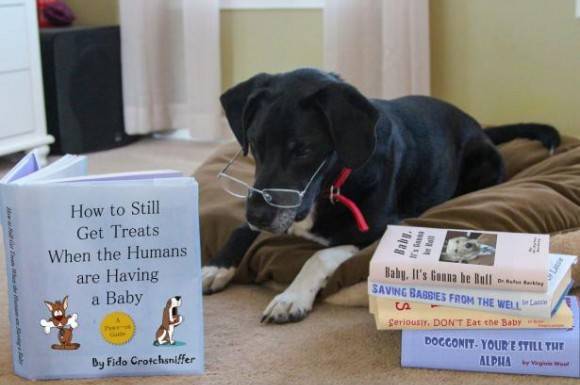 Mastering the Facebook baby announcement- NAILED IT