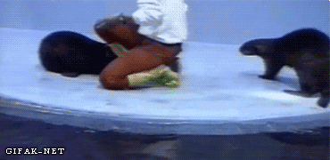 Tricks for my food?? F that!!