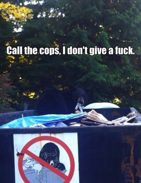 go ahead and call assh*le