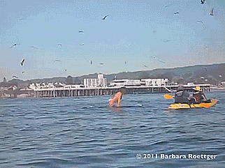 That was a close call.