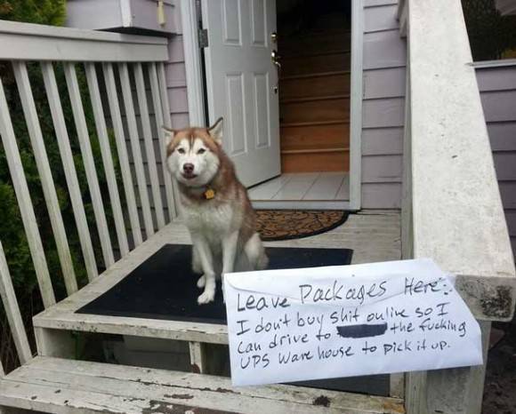 Package was “not left at the sole discretion of the driver”
