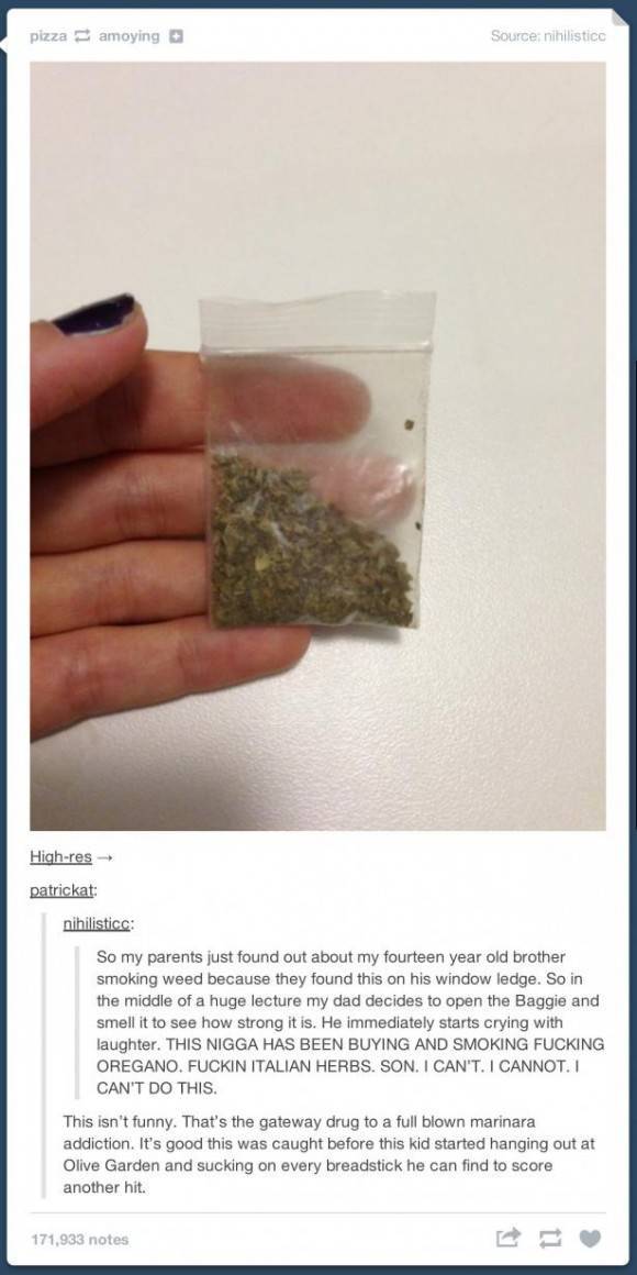 Tumblr never ceases to amaze me