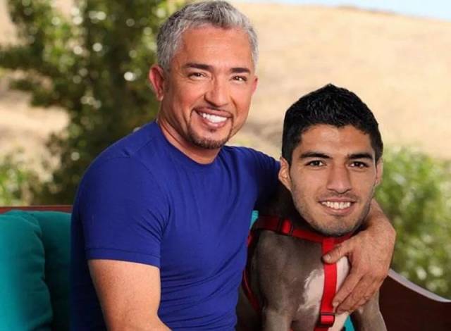 Cesar Milan's New project.