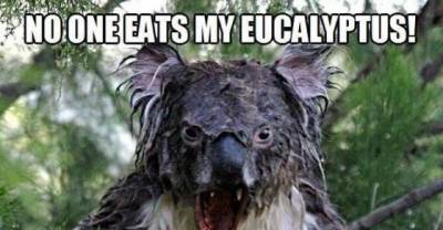 Some Funny Things To make Your Day...