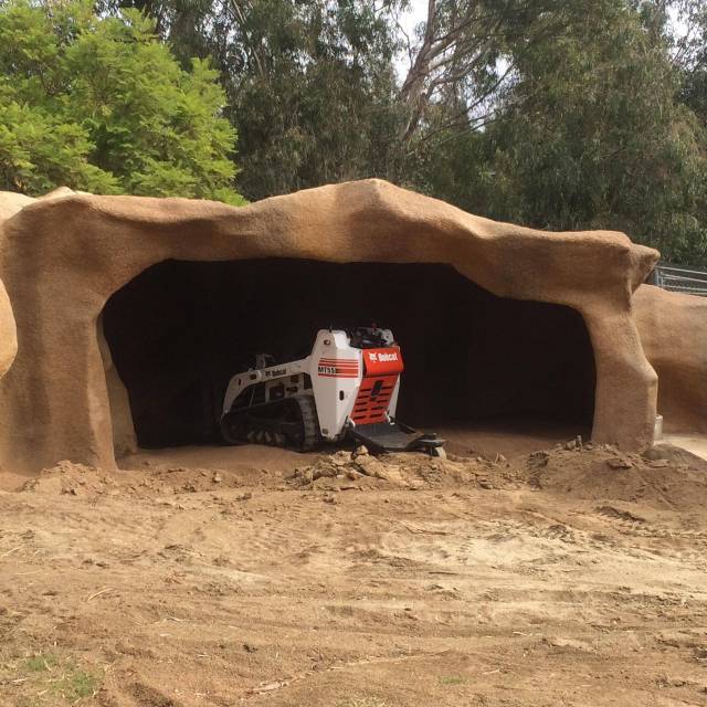 Went to the zoo and saw a bobcat.