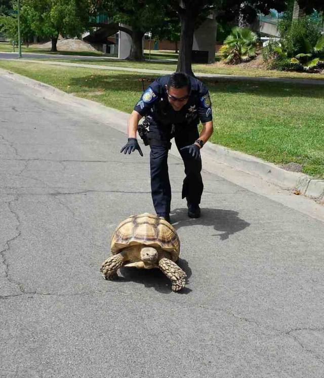 Sacramento Police Department had a 