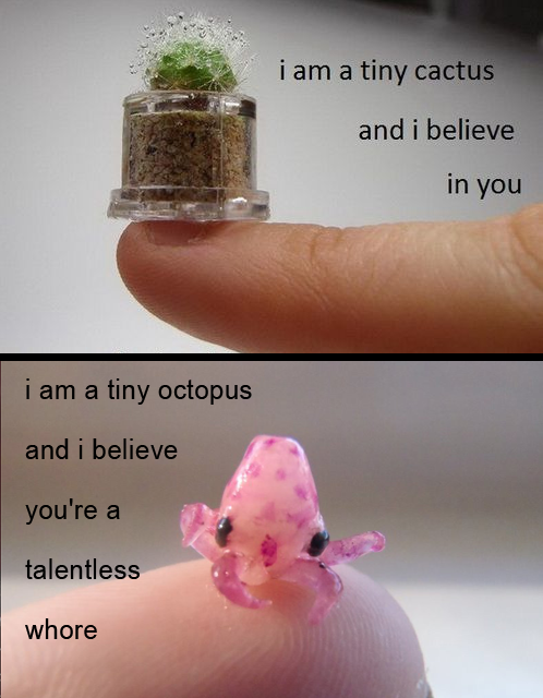 Some days the octopus is louder.