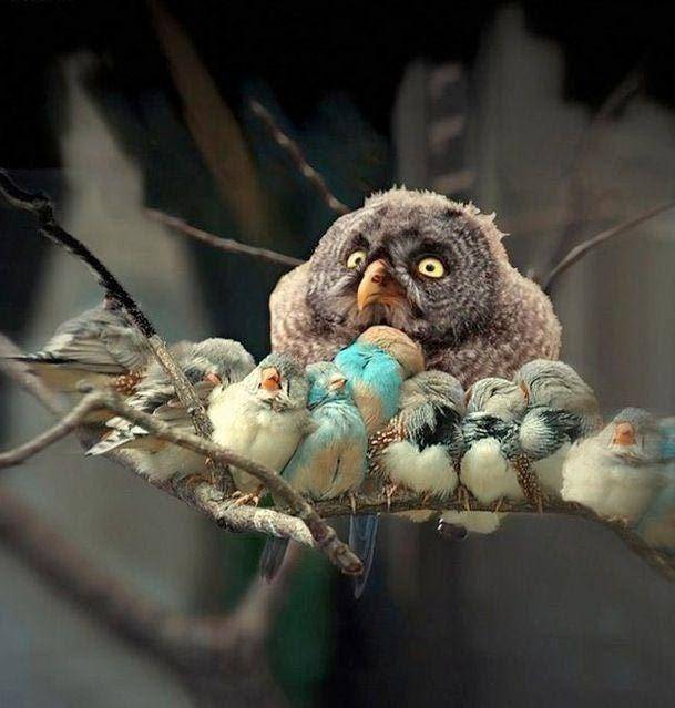 When you get stuck taking care of the kids at family events.