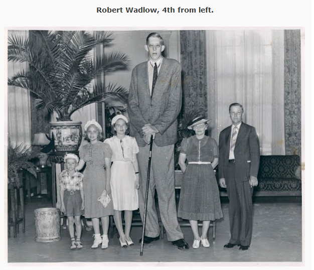 I was reading an article about Robert Wadlow, the tall man to ever live, and they showed this picture. It made me crack up.