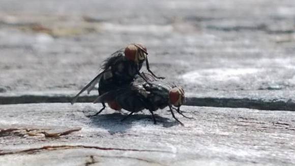 Got a phone with a 41 megapixel camera, this is the first picture I take