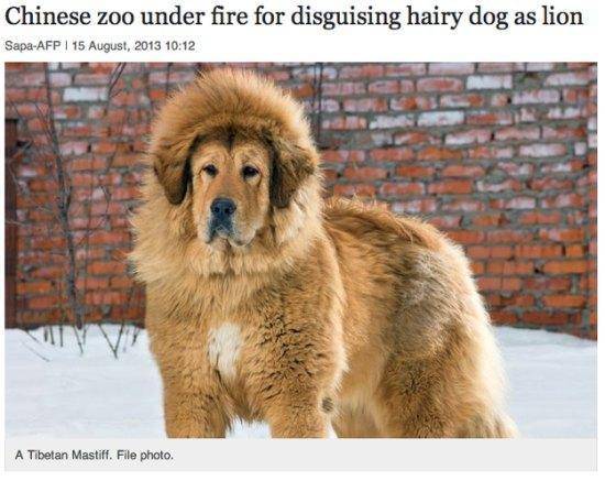 Leave it to the Chinese to come up with all the bizarre solutions 