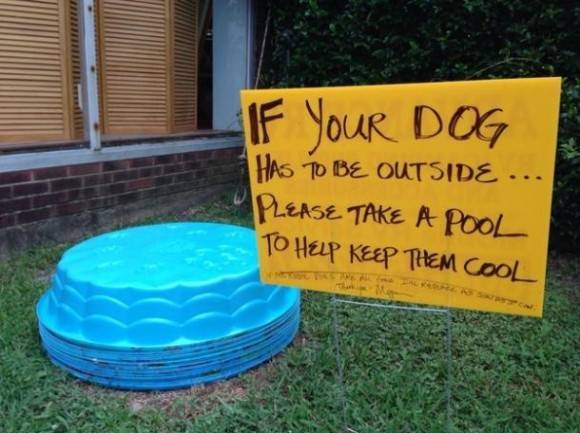 Good Guy.