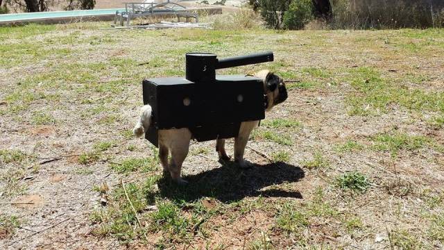 The cavalry has arrived