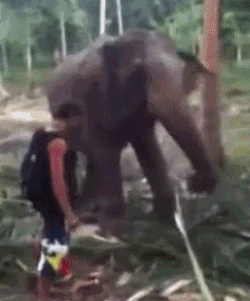 Horton heard a bitch.