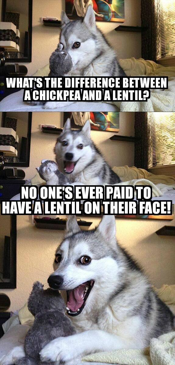 Makes me giggle every time