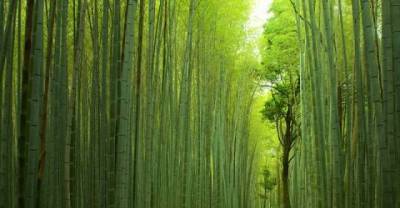 Some Places You Must Visit Before You Die (Part 1)