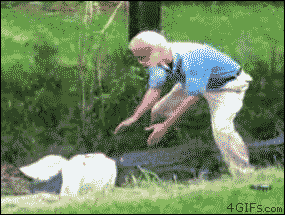 Hey look, I’m Steve Irwin